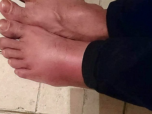 رضا ريزاماند - سبوتنيك عربي