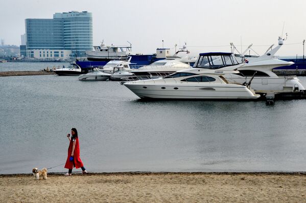 فتاة تتمشى مع كلبها على الشاطئ على خلفية اليخوت في الميناء الرياضي في فلاديفوستوك. - سبوتنيك عربي