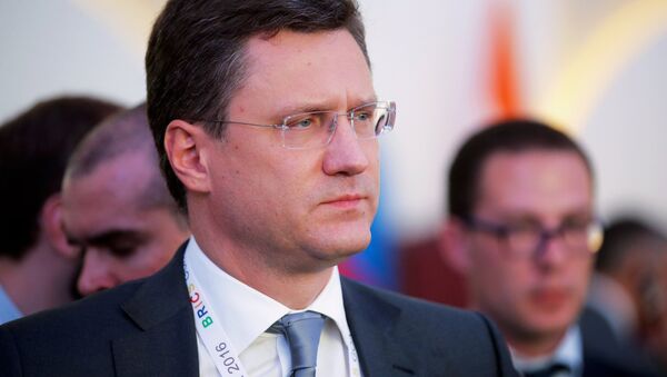 ألكسندر نوفاك وزير الطاقة الروسي - سبوتنيك عربي