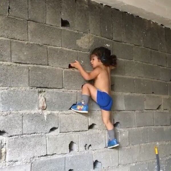 أرات - سبوتنيك عربي