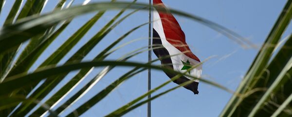 العلم السوري العلم السوري - سبوتنيك عربي