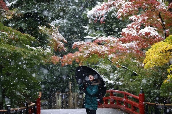 زائر يلتقط صورة على خلفية ثلج متساقط في حديقة للمعبد Tsurugaoka Hachimangu Shrine بالقرب من طوكيو. ذلك أن أهل طوكيو استيقظوا على أول ثلج يسقط في شهر نوفمبر منذ 50 عاماً، 24 نوفمبر/ تشرين الثاني 2016 - سبوتنيك عربي