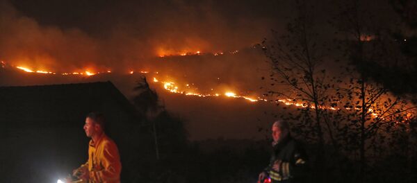 حرائق في إسرائيل - سبوتنيك عربي