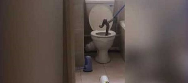 ثعبان - سبوتنيك عربي