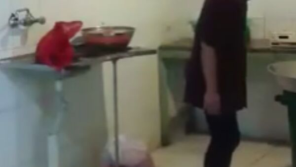 عامل سعودي - سبوتنيك عربي