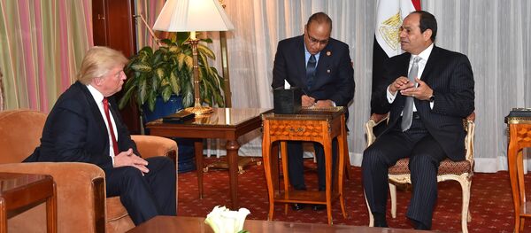 السيسي وترامب - سبوتنيك عربي