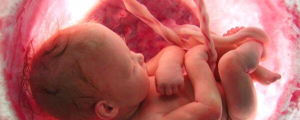 جنين في بطن أمه - سبوتنيك عربي