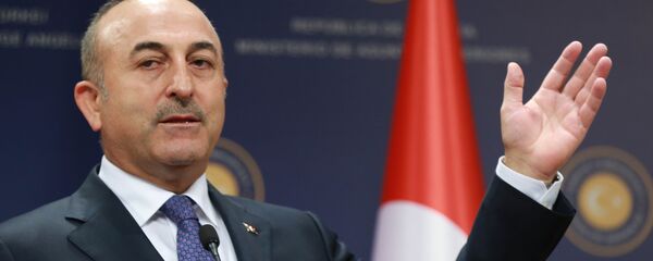 وزير الخارجية التركي مولود جاويش أوغلو - سبوتنيك عربي