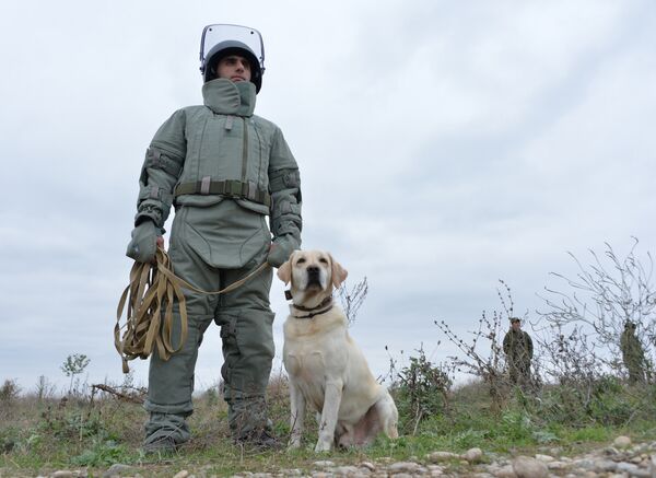 فرقة إزالة الألغام - سبوتنيك عربي