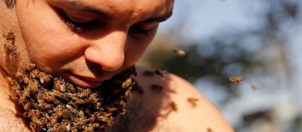 لحية النحل لحية النحل - سبوتنيك عربي