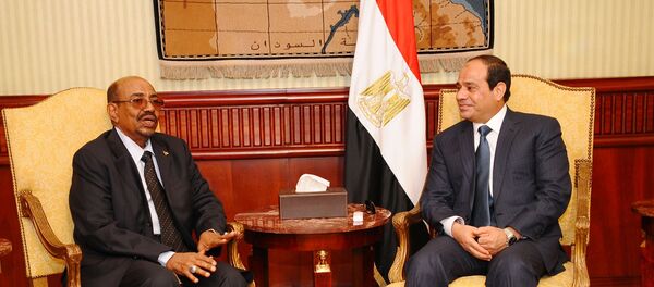 مصر والسودان - سبوتنيك عربي