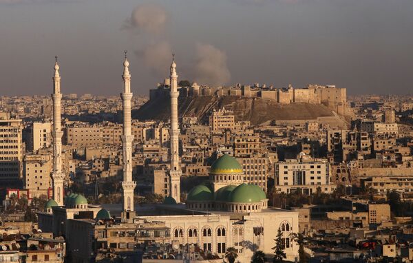 مشهد عام لمدينة حلب الأثرية وقلعة حلب التاريخية، 3 ديسمبر/ كانون الأول 2016 - سبوتنيك عربي