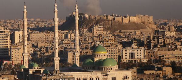 مشهد عام لمدينة حلب الأثرية وقلعة حلب التاريخية، 3 ديسمبر/ كانون الأول 2016 - سبوتنيك عربي