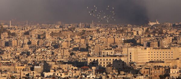 حلب - سبوتنيك عربي