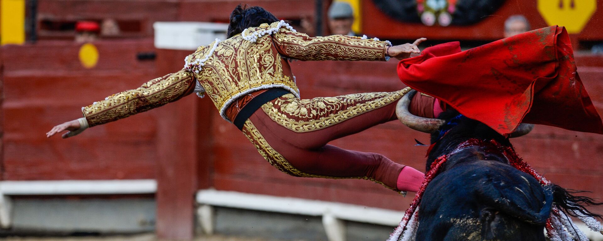 مصارع الثيران بيرو أندريس روكا ري في ساحة آشو في ليما، 4 ديسمبر/ كانون الأول 2016 - سبوتنيك عربي, 1920, 26.06.2022