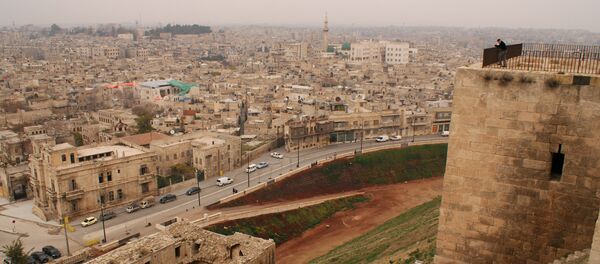 رجل يقف في أعلى القلعة التاريخية في حلب، 2009 - سبوتنيك عربي