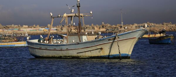 ميناء غزة، مدينة غزة، قطاع غزة، فلسطين، 12 ديسمبر/ كانون الأول 2016 - سبوتنيك عربي