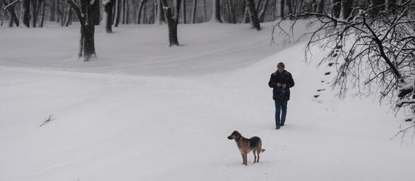 فصل الشتاء في فيليكي نوفغورود - سبوتنيك عربي