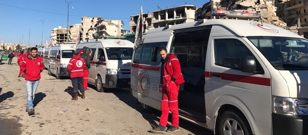 الصليب الأحمر (صورة أرشيفية) - سبوتنيك عربي