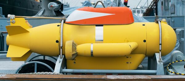 غواصة غير مأهولة - سبوتنيك عربي