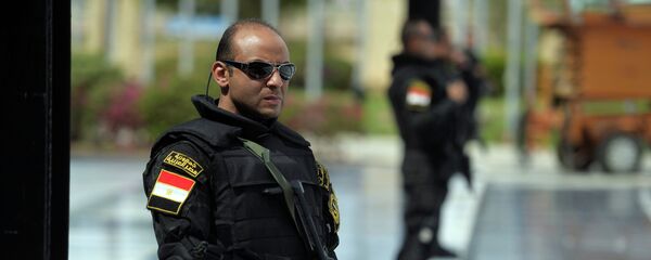 الشرطة المصرية - سبوتنيك عربي