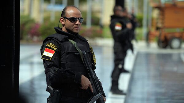 الشرطة المصرية - سبوتنيك عربي