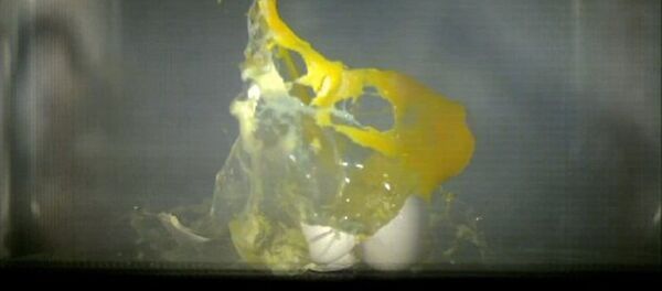 ماذا سوف يحدث لو وضعنا بيضة و صابون و العديد من الأشياء الأخرى في الميكروويف - سبوتنيك عربي