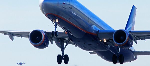 طائرة تابعة لشركة أيروفلوت - سبوتنيك عربي