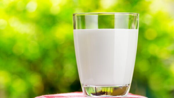 غلاف للأطعمة مصنوع من الحليب بدل من البلاستيك - سبوتنيك عربي
