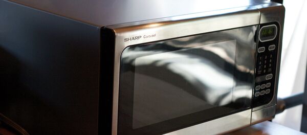 مايكرويف - سبوتنيك عربي