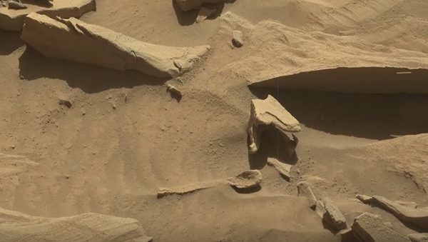 ملعقة على المريخ - سبوتنيك عربي