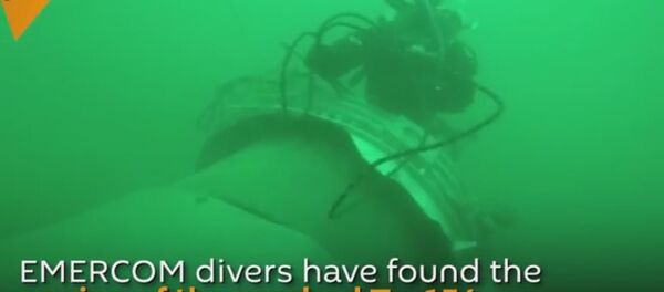 الغواصون الروس يعثرون على الطائرة - سبوتنيك عربي