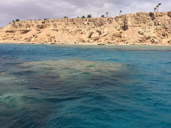 جزر تيران وصنافير جزر تيران وصنافير - سبوتنيك عربي