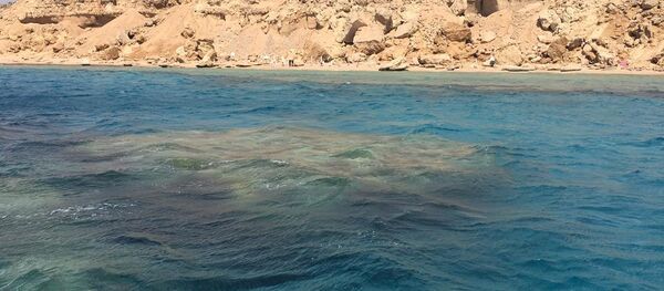 جزر تيران وصنافير جزر تيران وصنافير - سبوتنيك عربي