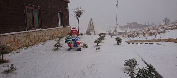 جبل كورك جبل كورك - سبوتنيك عربي