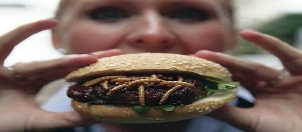 برغر الحشرات برغر الحشرات - سبوتنيك عربي