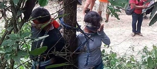 النمل يقتل سيدة - سبوتنيك عربي