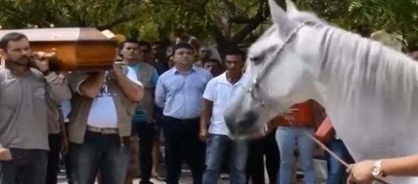 حصان يبكي في جنازة صاحبه المتوفي - سبوتنيك عربي