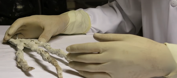 العثور على جمجمة ويد لـكائن فضائي - سبوتنيك عربي