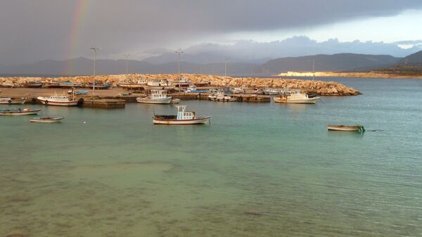 المركب السوري الفينيقي - سبوتنيك عربي