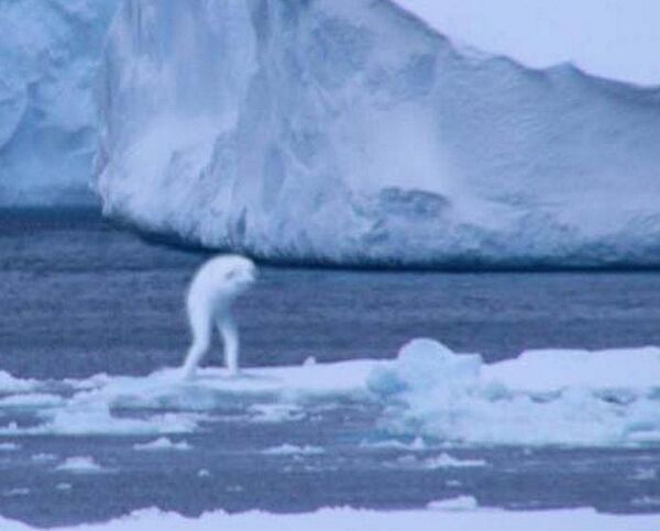 وحوش القارة القطبية الجنوبية – Kryon وحوش القارة القطبية الجنوبية – Kryon - سبوتنيك عربي