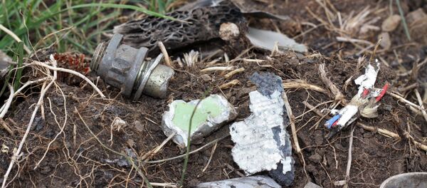 سقوط طائرة - سبوتنيك عربي