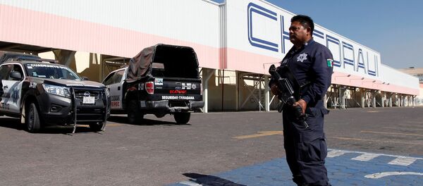 قوات أمن مكسيكية - سبوتنيك عربي