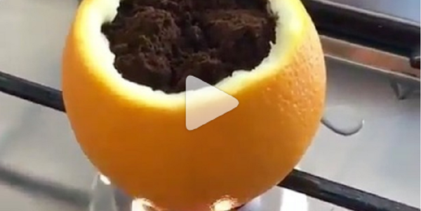 شاهد... قعوة بنكهو البرتقال أم برتقال بنكة القهوة! - سبوتنيك عربي