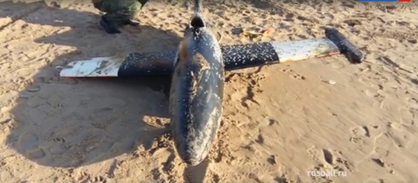 طائرة دون طيار - سبوتنيك عربي