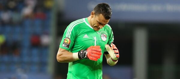 حارس منتخب مصر عصام الحضري - سبوتنيك عربي