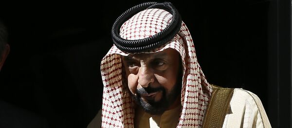 رئيس الإمارات الشيخ خليفة بن زايد آل نهيان - سبوتنيك عربي