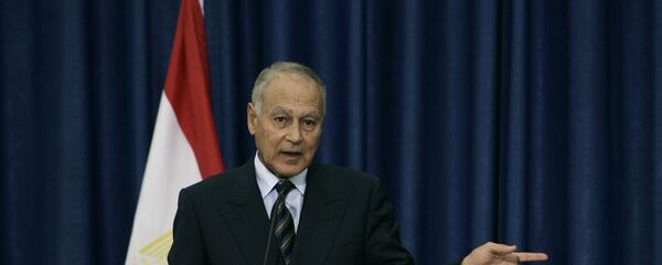 أحمد أبو الغيط - سبوتنيك عربي