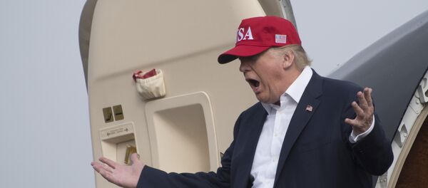 الرئيس الأمريكي دونالد ترامب - سبوتنيك عربي