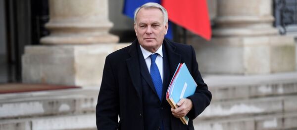 جان مارك إيرولت - سبوتنيك عربي